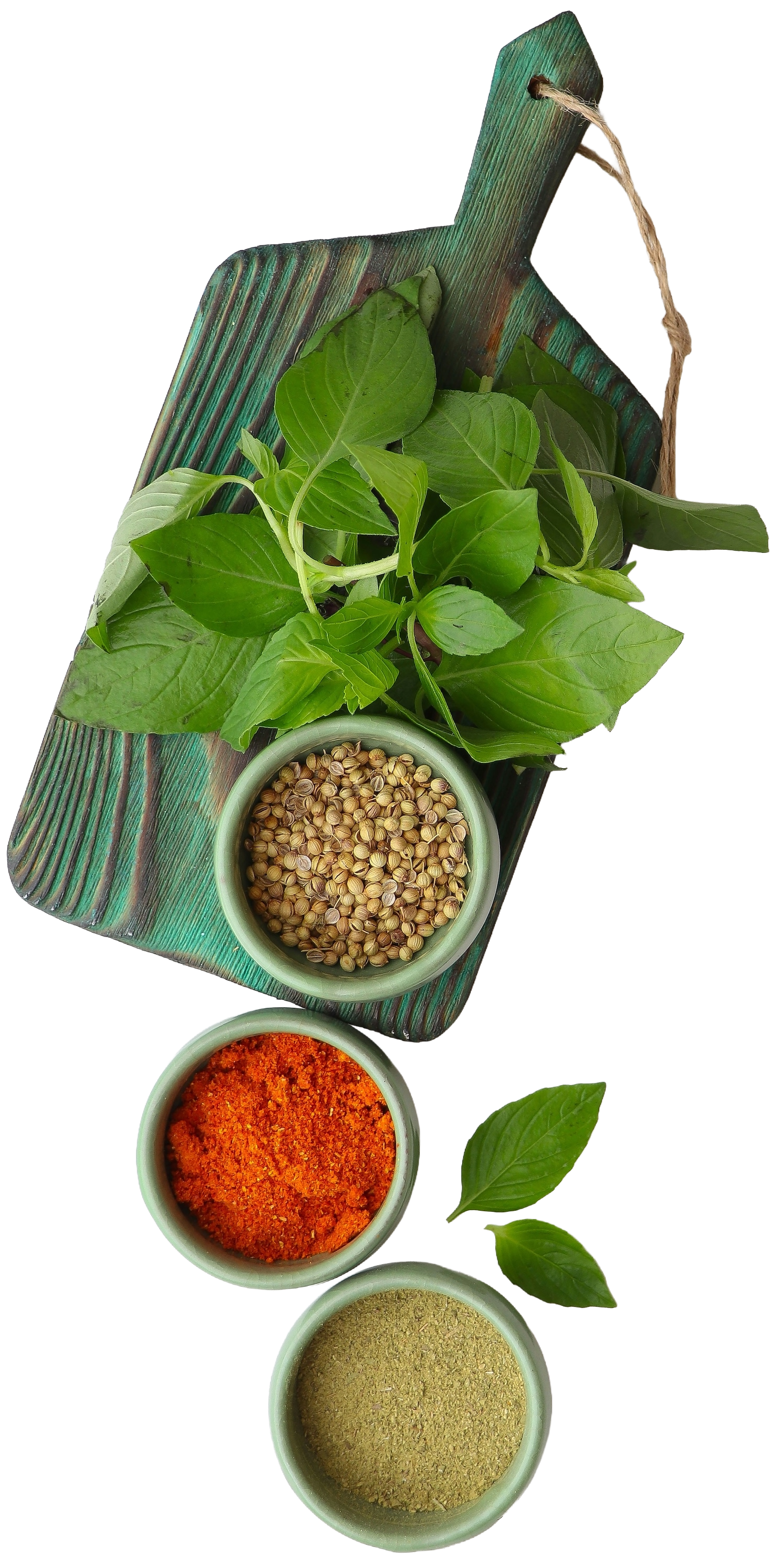 Coriander seeds, ground chilli, ground herbs and fresh basil on a wooden board